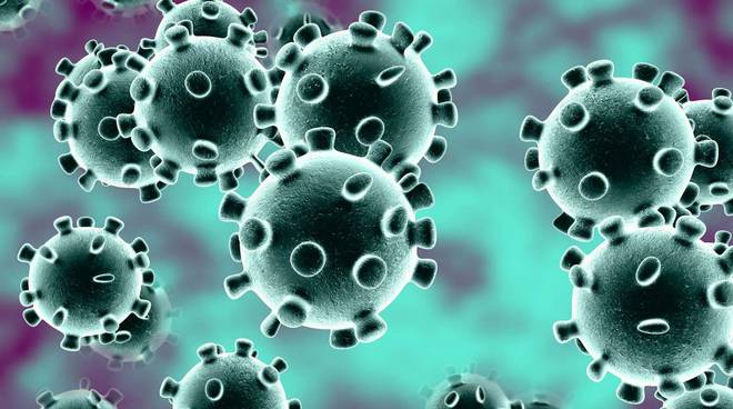 immagine CORONAVIRUS VADEMECUM OF SOLUTIONS FOR SMALL AND MEDIUM ENTERPRISES